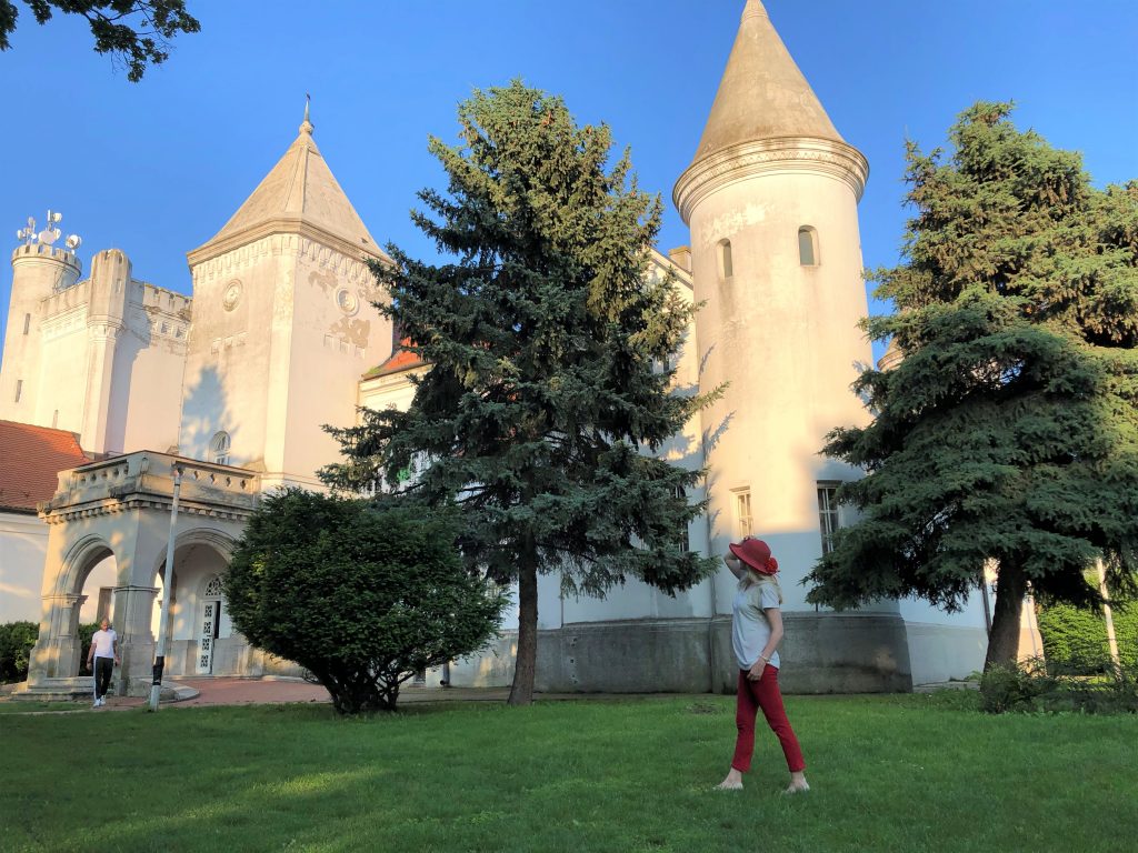 Sta obici u Srbiji dvorac Dunđerski Fantast